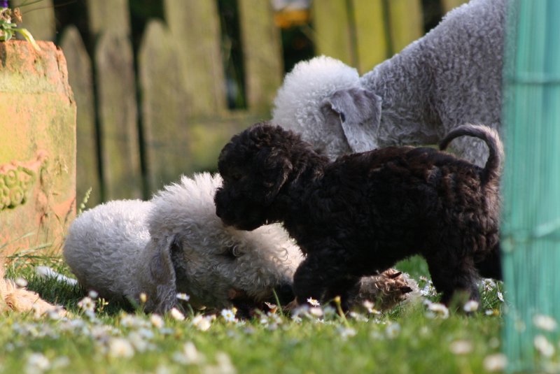 Arc-en-ciel Antares 2009-06-30 (19).JPG